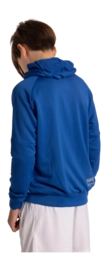 4---training-zip-hoodie-royal-blue-deshi-back-_no-bg