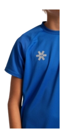 6---10573-DeshiTrainingTee-RoyalBlue-4-_no-bg