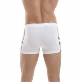 8---Trunk assorted grey set 3 stripe 3