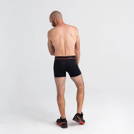 sxbb32-bvr_2body_b_sp22