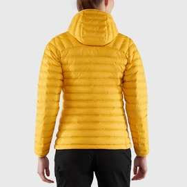 expedition_latt_hoodie_w_86120-154_d_model_fjr
