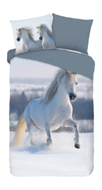 2---10022.03.01-_no-bg
