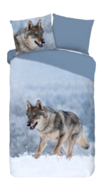 2---10024.03.01-_no-bg-_no-bg