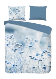 2---10026.20.02-_no-bg