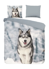 3---30119.03.01-_no-bg
