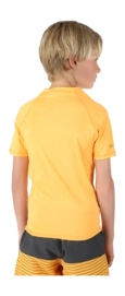 5---2313760493-2498-2-_no-bg