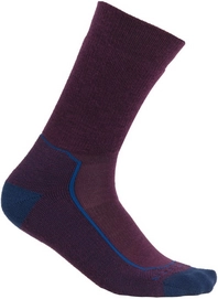 Chaussettes Icebreaker Homme Hike+ Medium Crew Nightshade Lazur Royalnav