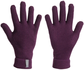 Gants Icebreaker Rixdorf Gloves Nightshade