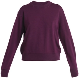 Pullover Icebreaker Merino Crush II LS Sweatshirt Women Nightshade