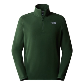 Trui The North Face Men 100 Glacier 1/4 Zip Pine Needle