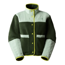 Trui The North Face Women Cragmont Fleece Jacket Pineneedle Mstsg Srsggn