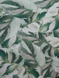 3---Leaves 19092 1