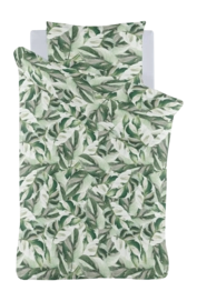 5---Leaves 19092 1 persoons-_no-bg