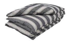 2---tahoe_stripe-jan_2021-coll-02_1_1-_no-bg