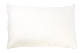 santiago_oyster_2017-slopen50x75_front_10-_no-bg