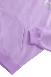 6---13581-Women Half Zip Sweater-Light Purple-4