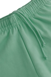 5---13583-Women Shorts-Green-3