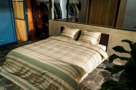 3---sora_olive1