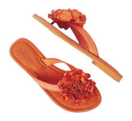 Oranje 3-_no-bg