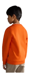5---NA4GMSA00-ALT1-_no-bg