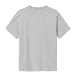 10005711-2222 - Ace IVY T-shirt - 1003 Grey melange - Extra 1-_no-bg