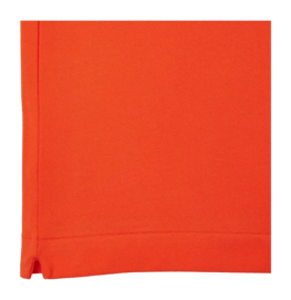 3---L1212_SJI_32-_no-bg