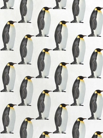 2---A4_sample_pinguins WEB