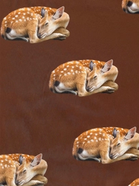 2---A4_sample_sleeping deer WEB
