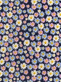 2---A4_sample_daisy dusk WEB