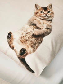 217