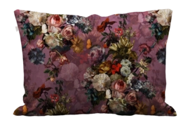 5---8715944834025_1-_no-bg