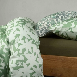 3---sora_greenish_detail_01_lr_1