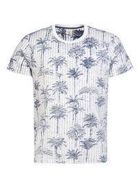 T-Shirt Protest Homme Boswell Ground Blue