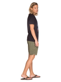 1712491_290_model2