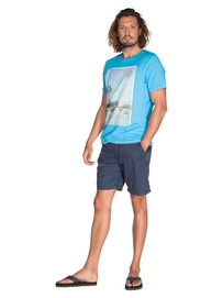 1712791_497_model1