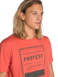 1713191_819_model4