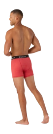 smartwool_sw016996b331_03_new-_no-bg