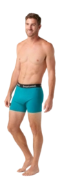 smartwool_sw016996l391_02_new-_no-bg