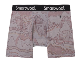 Unterhose Smartwool Merino Print Boxer Brief Boxed Herren Light Gray Digital Summit Print