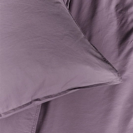 3---250021_40