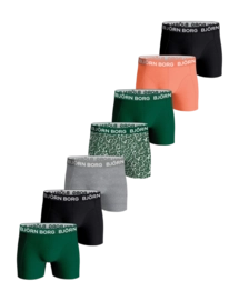 Caleçon Björn Borg Junior Core Multicolore Multipack 1 (7-pack)
