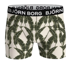 Boxershort Björn Borg Men Microfiber Boxer BB Palm Tree 1