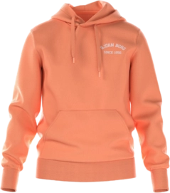 Hoodie Björn Borg Men Borg Essential Hoodie Cadmium Orange