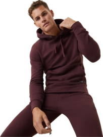 Hoodie Jumper Björn Borg Men Centre Decadent Chocolate