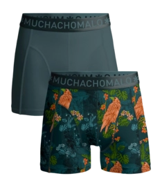 Boxer Muchachomalo Homme Shorts Crowsketch Print/Green (2-Pièces)