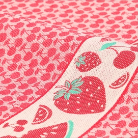 6---6099_2