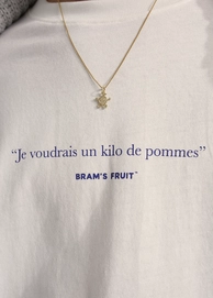 Brams-Fruit-AW2339089-copy-kopierena-1