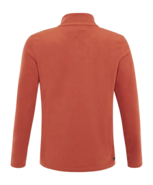 2---3792800_681_back-_no-bg