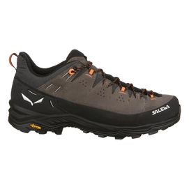 Wanderschuhe Salewa Alp Trainer 2 M Herren Bungee Cord / Black