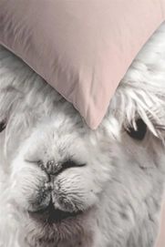 Alpaca_Peach-40_Detail_Large.jpg_20230323141949_1